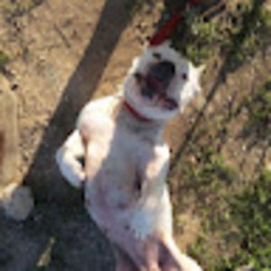 Meet your Posher, Ariela